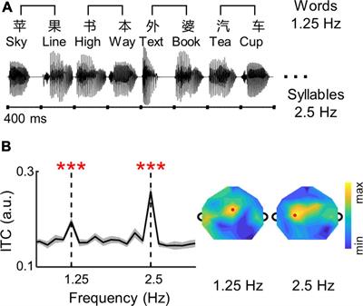 Compromised word-level neural tracking in the high-gamma band for children with attention deficit hyperactivity disorder